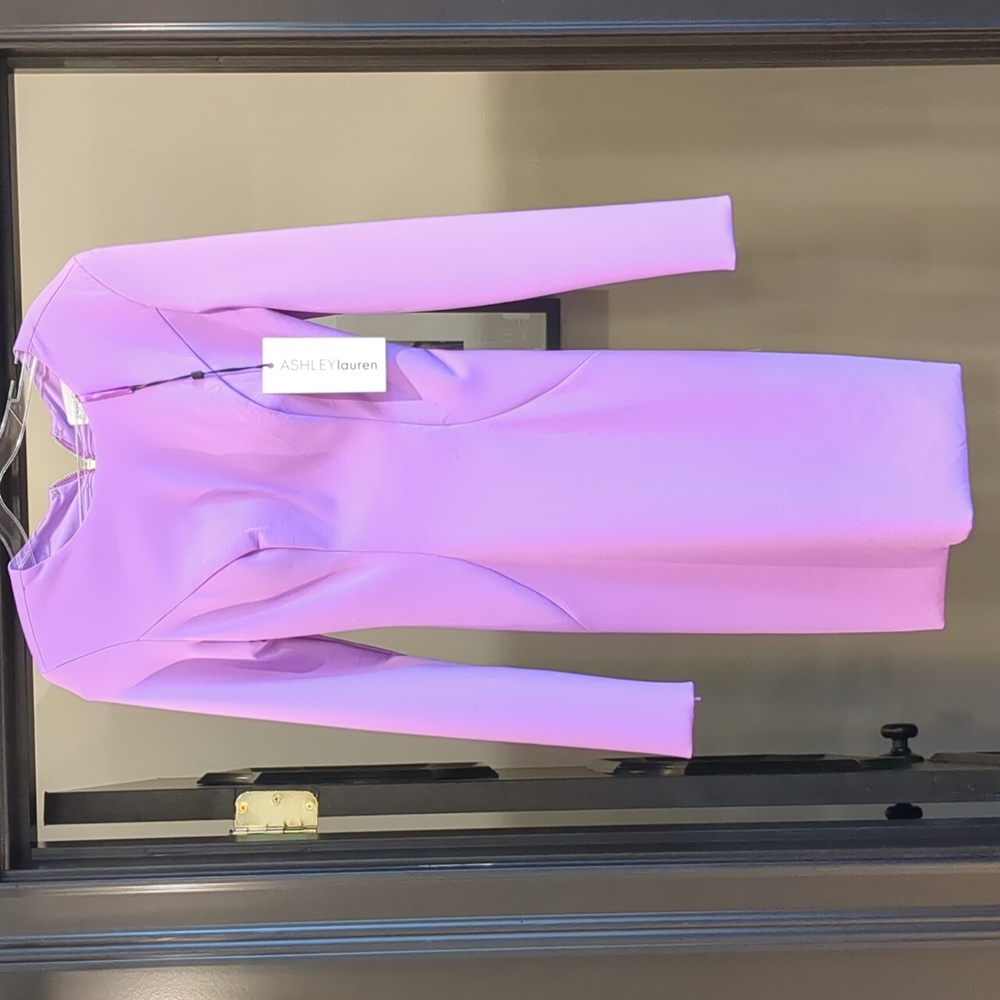 Ashley Lauren size 0 Orchid Dress.     .99